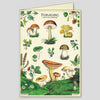 Cavallini Foraging Boxed Note Cards | Conscious Craft